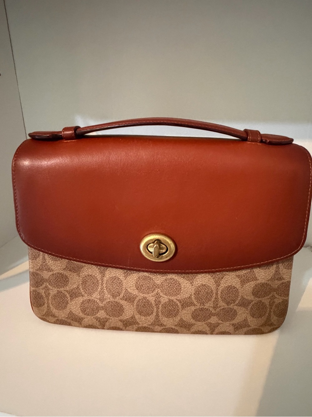 Classic Leather-Trim Top Handle Bag in Brown